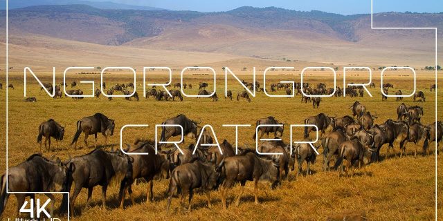 Ngorongoro Crater