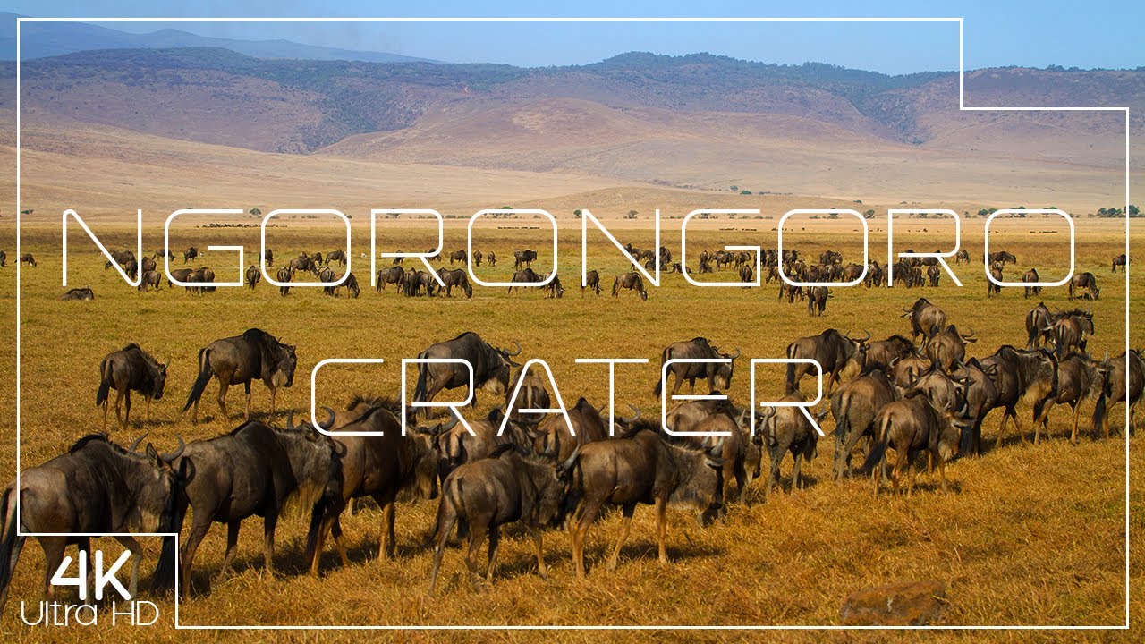 Ngorongoro Crater