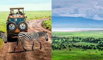 Ngorongoro Crater