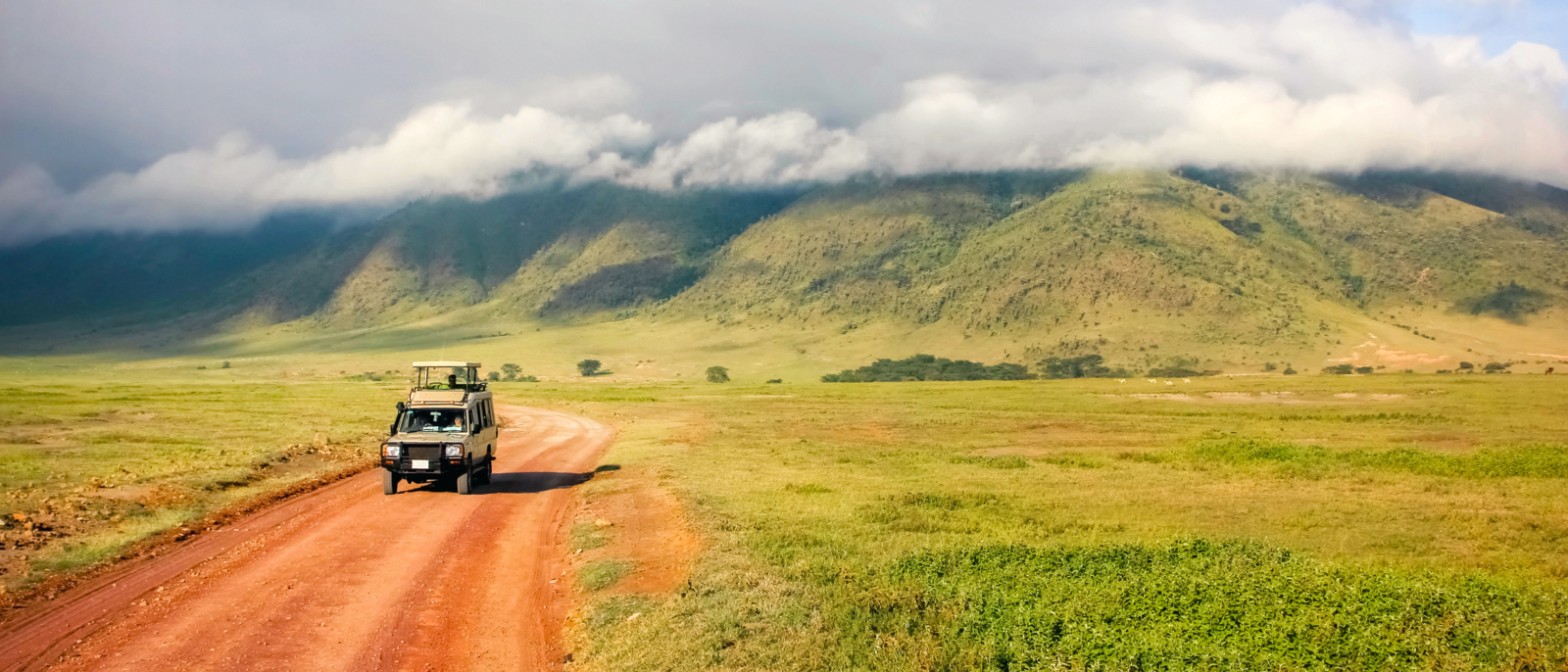 Ngorongoro Crater