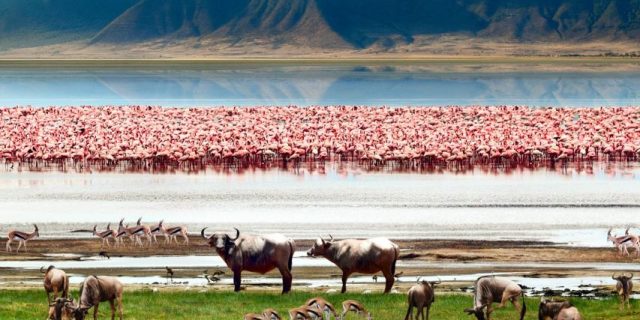 Ngorongoro Crater