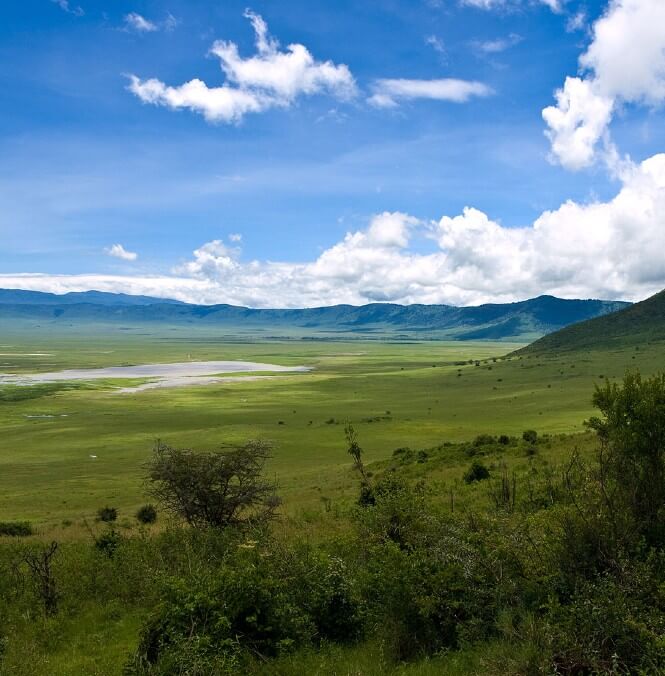 Ngorongoro Crater