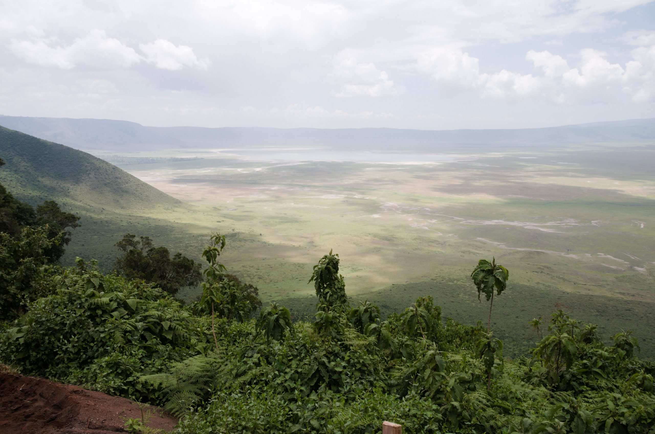 Ngorongoro Crater