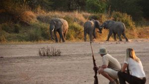 Ruaha National