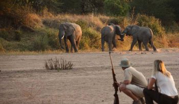 Ruaha National