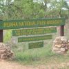 Ruaha National