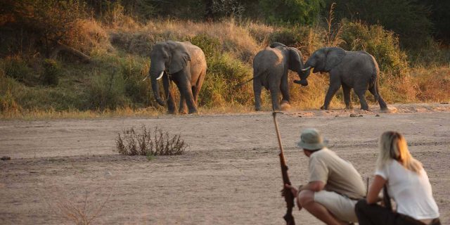 Ruaha National