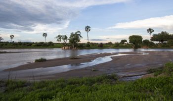 Ruaha National