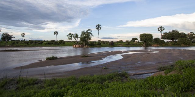 Ruaha National