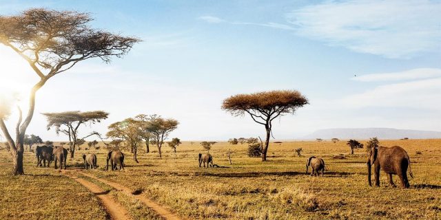 Serengeti National