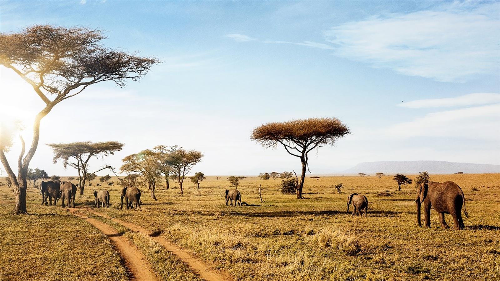 Serengeti National