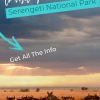 Serengeti National