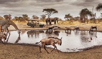 Serengeti National