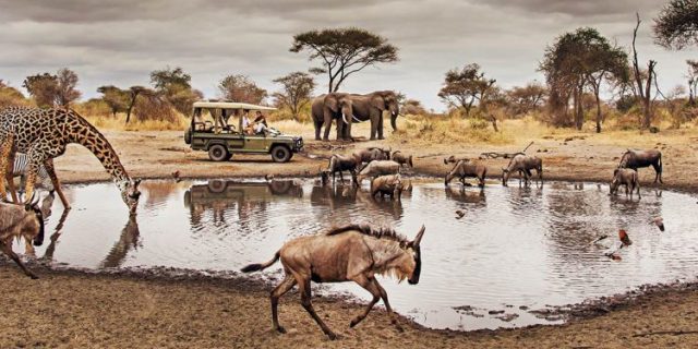 Serengeti National