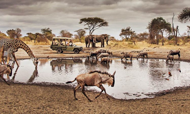 Serengeti National