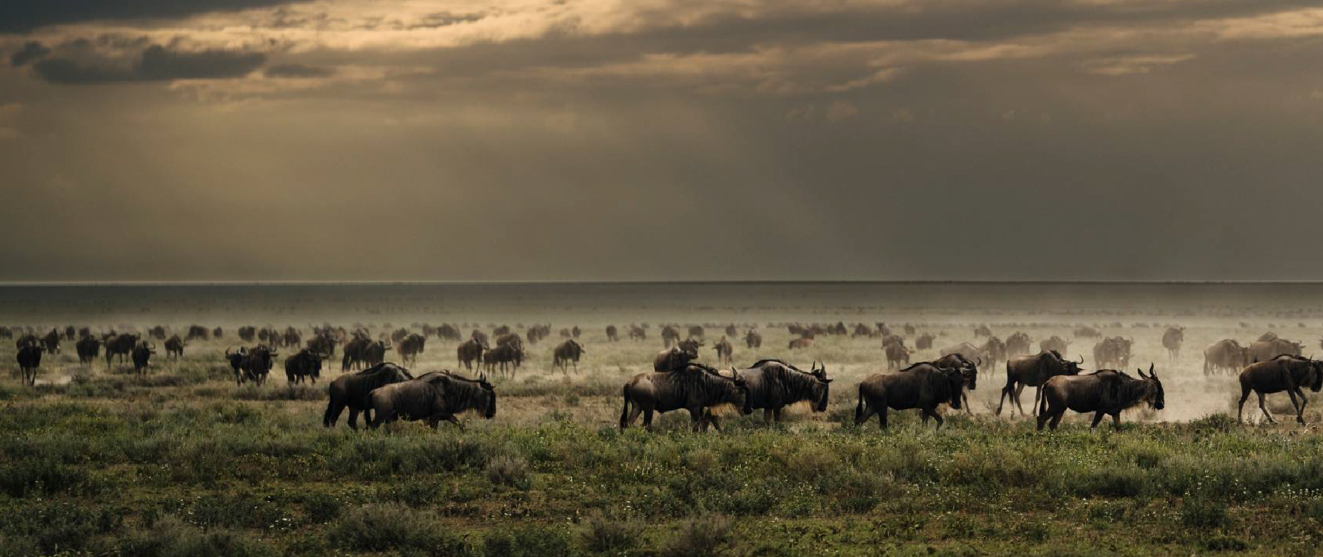 Serengeti National