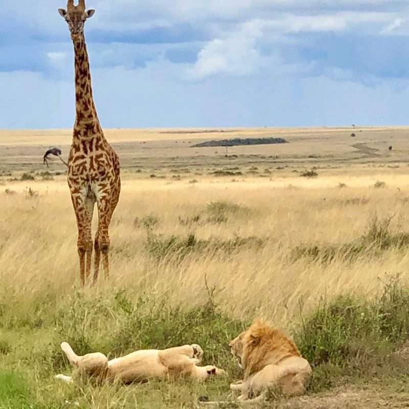 Serengeti National