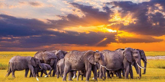 Serengeti National