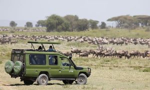 Serengeti National