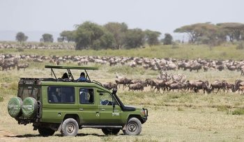 Serengeti National