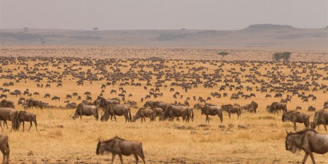 Serengeti National