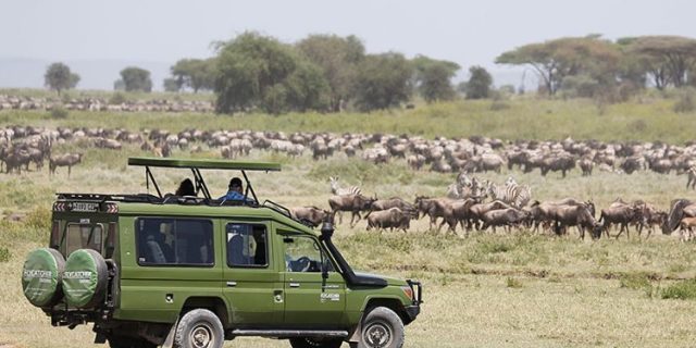 Serengeti National