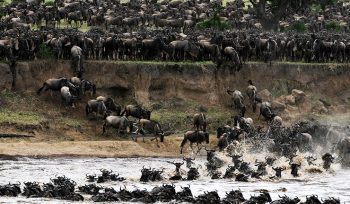 Serengeti National