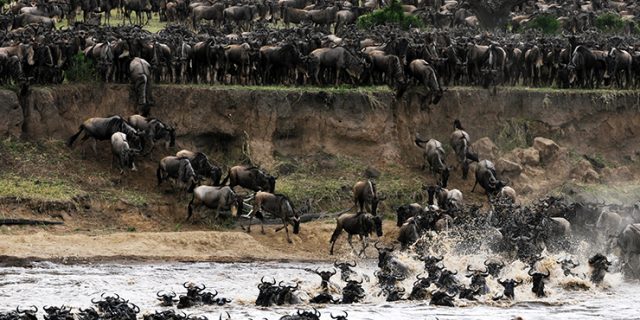 Serengeti National