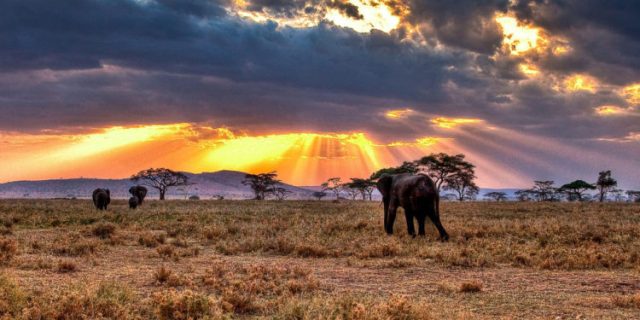 Serengeti National