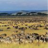 Serengeti National
