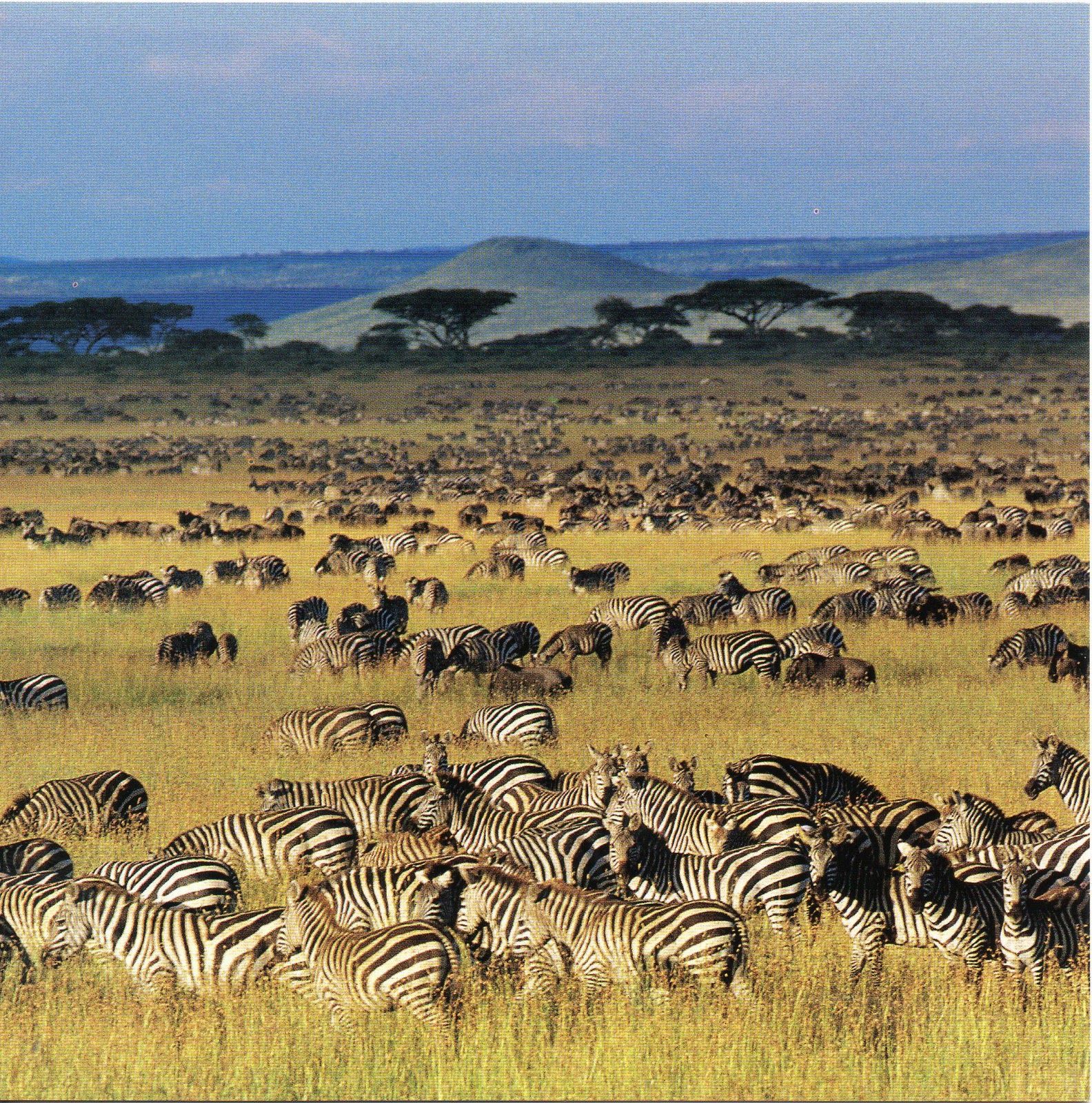 Serengeti National