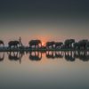 Sunset Africa