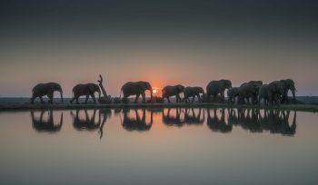 Sunset Africa