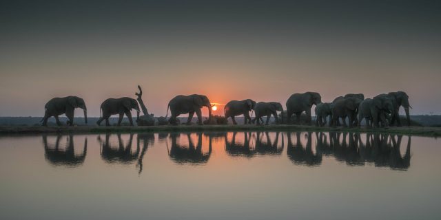 Sunset Africa