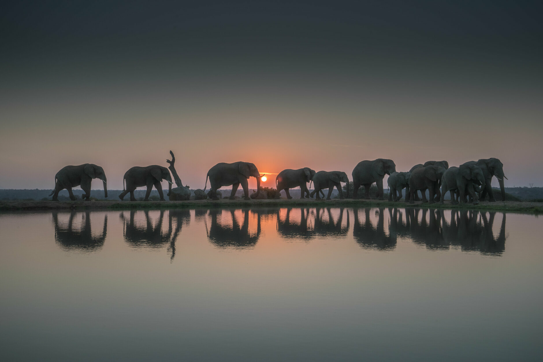 Sunset Africa