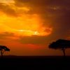 Sunset Africa