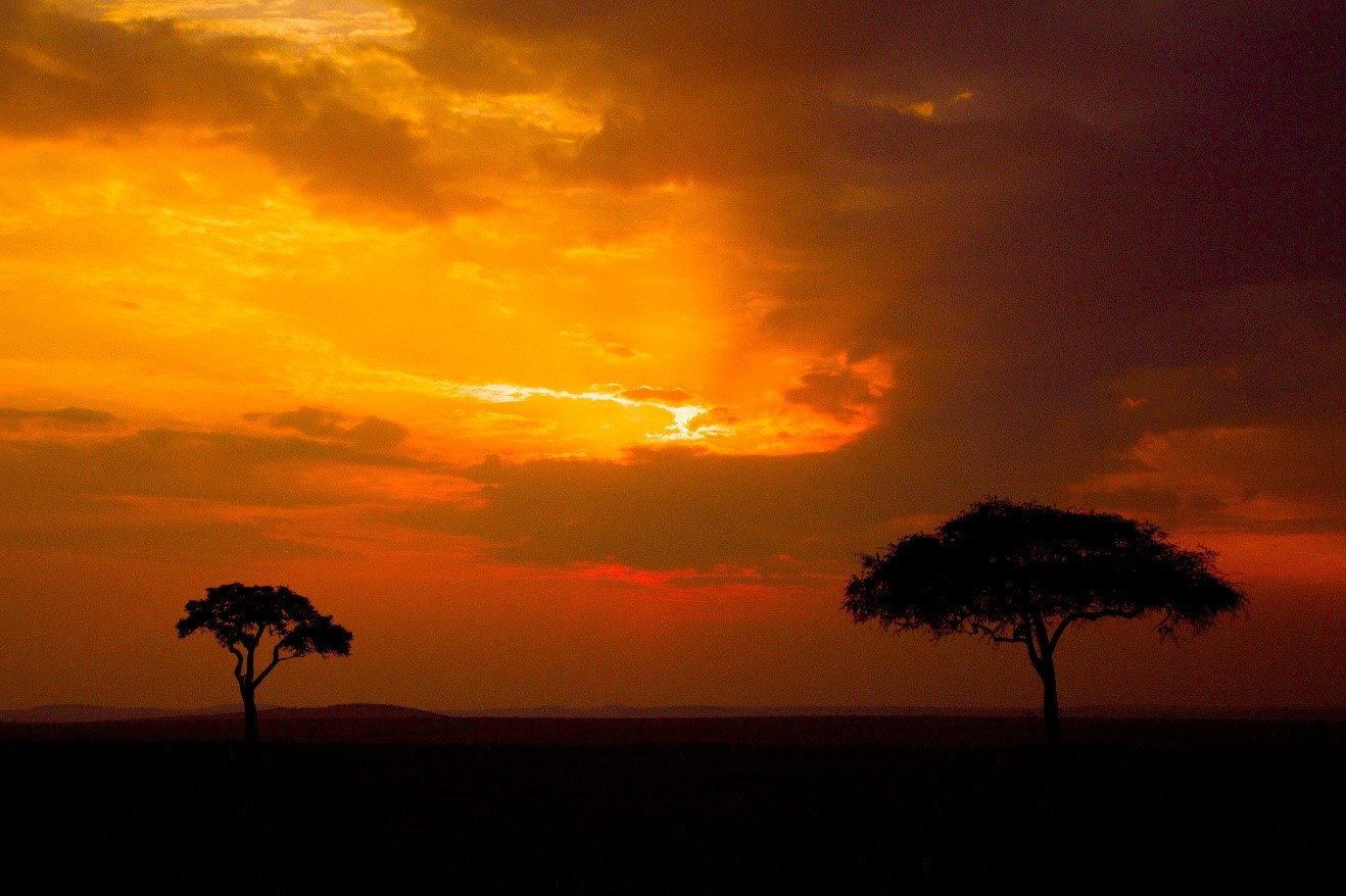 Sunset Africa
