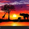 Sunset Africa
