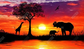 Sunset Africa