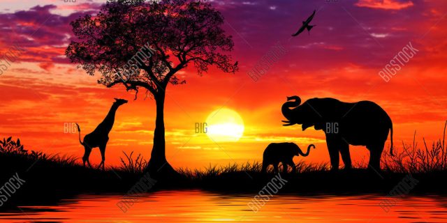 Sunset Africa