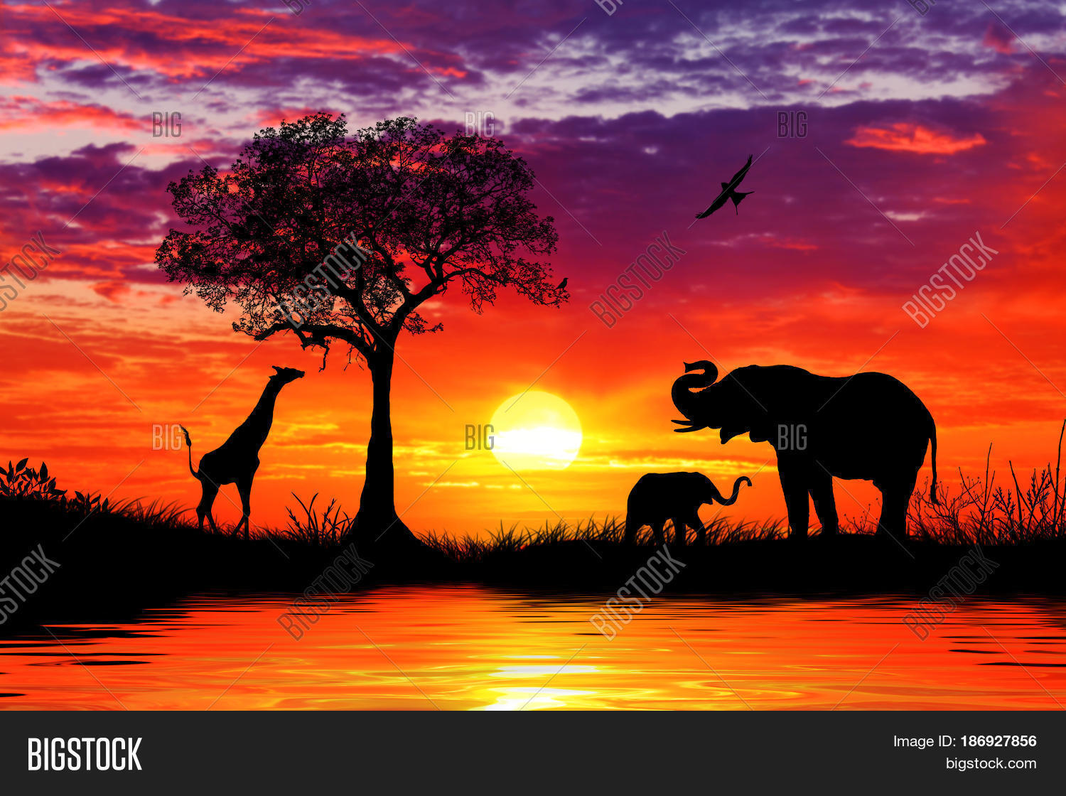 Sunset Africa