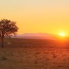 Sunset Africa