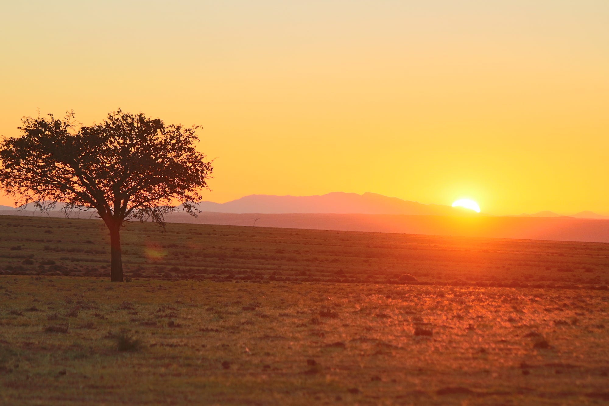 Sunset Africa