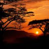 Sunset Africa