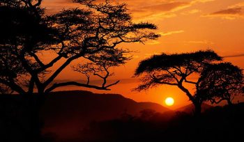 Sunset Africa