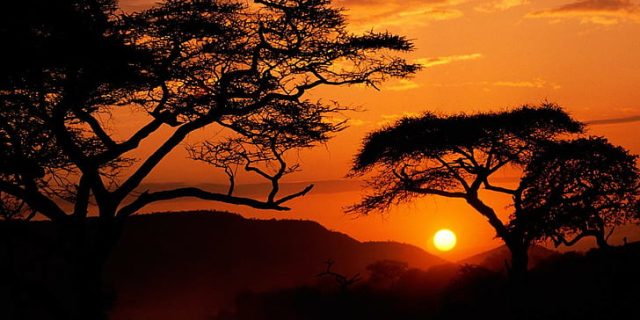 Sunset Africa