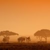 Sunset Africa