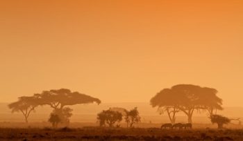 Sunset Africa