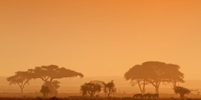 Sunset Africa