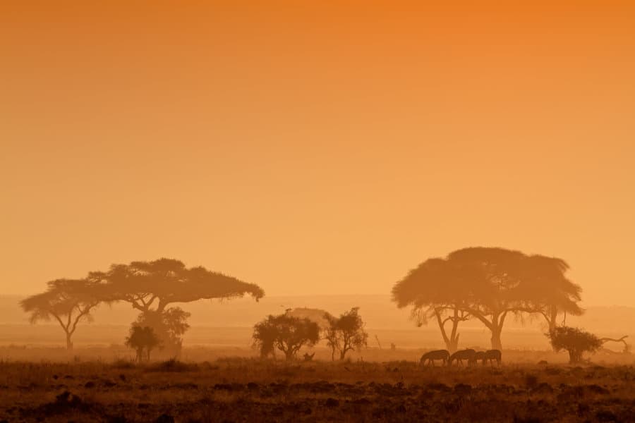 Sunset Africa